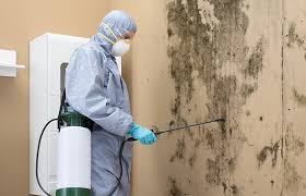 Best Mold Removal for HVAC Installations  in Calumet City, IL